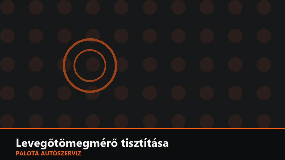 Levegőtömegmérő (MAF) tisztítása - Palota Autószerviz Budapest