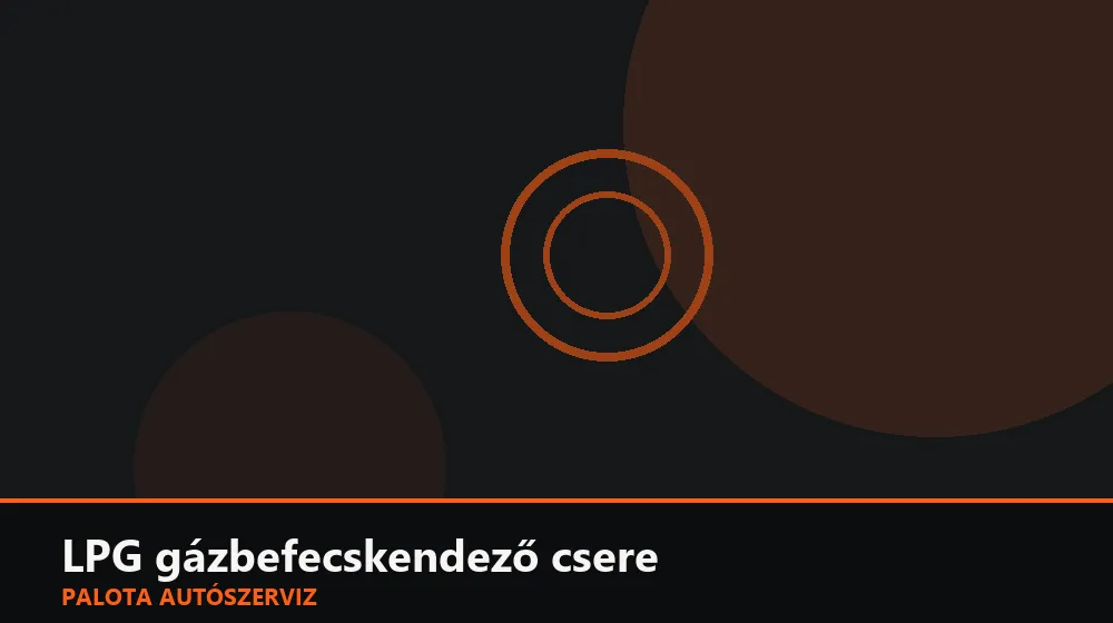 LPG gázbefecskendező (injektor) csere - Palota Autószerviz Budapest