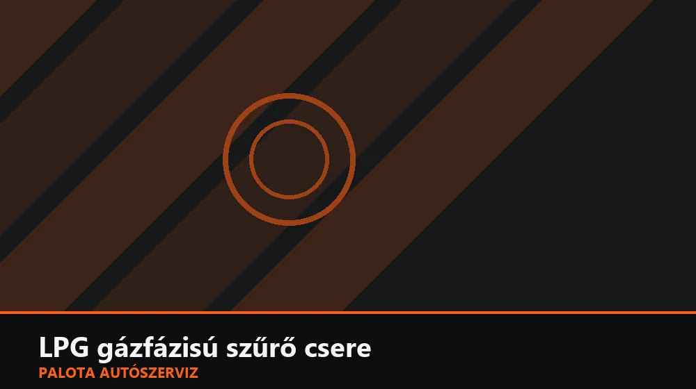 LPG gázfázisú szűrő csere - Palota Autószerviz Budapest