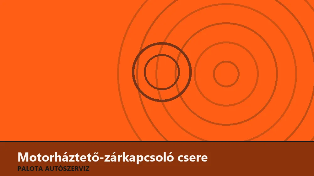 Motorháztető-zárkapcsoló (riasztóhoz) csere - Palota Autószerviz Budapest