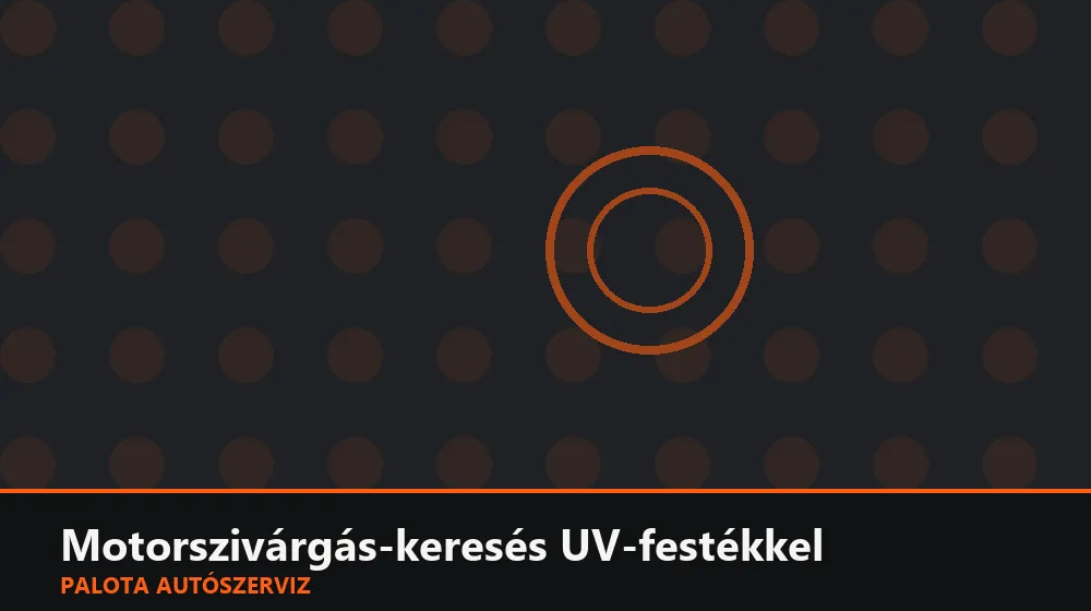 Motorszivárgás-keresés UV-festékkel - Palota Autószerviz Budapest