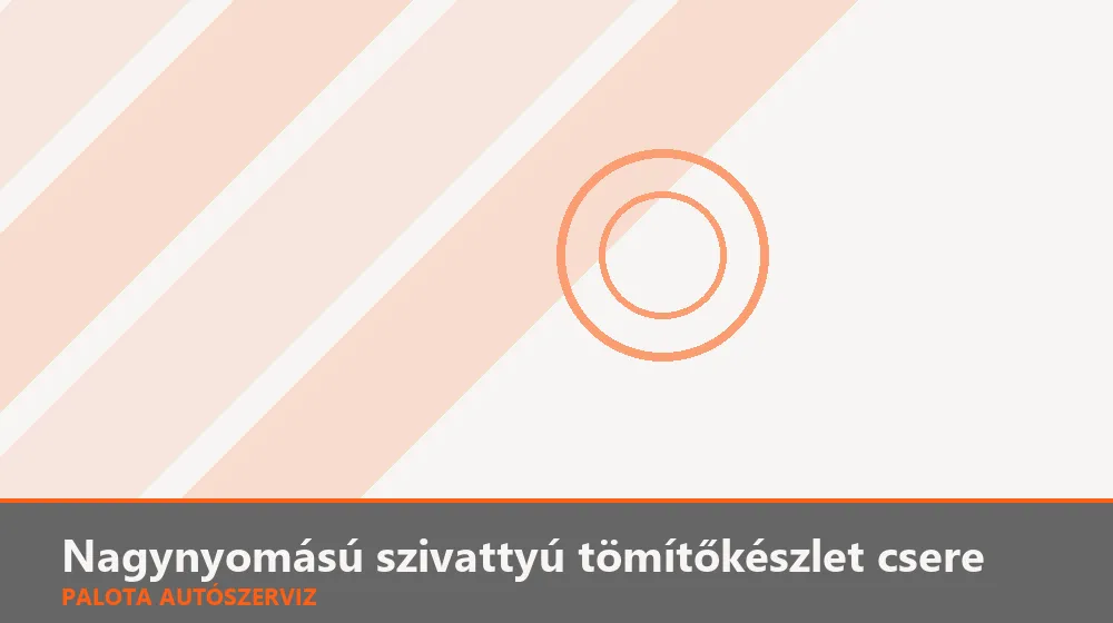 Nagynyomású szivattyú tömítőkészlet csere - Palota Autószerviz Budapest