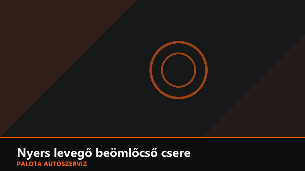 Nyers levegő beömlőcső (szívótömlő) csere - Palota Autószerviz Budapest