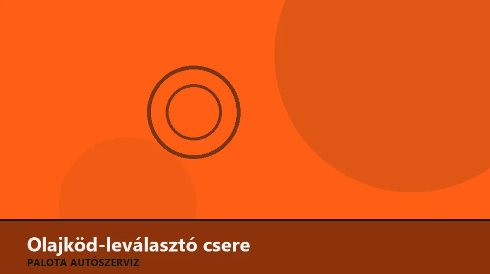 Olajköd-leválasztó csere - Palota Autószerviz Budapest