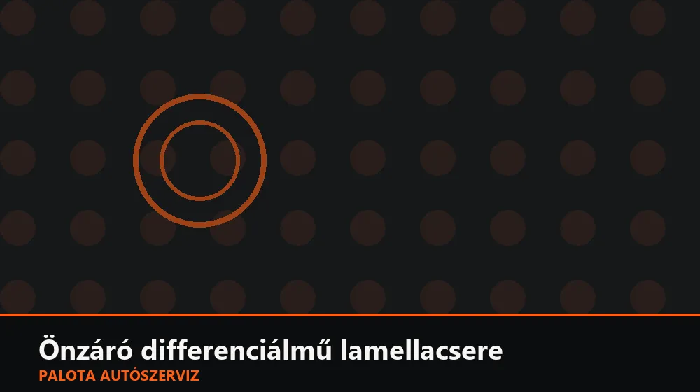 Önzáró (LSD) differenciálmű lamellacsere - Palota Autószerviz Budapest