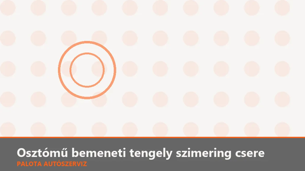 Osztómű bemeneti tengely szimering csere - Palota Autószerviz Budapest
