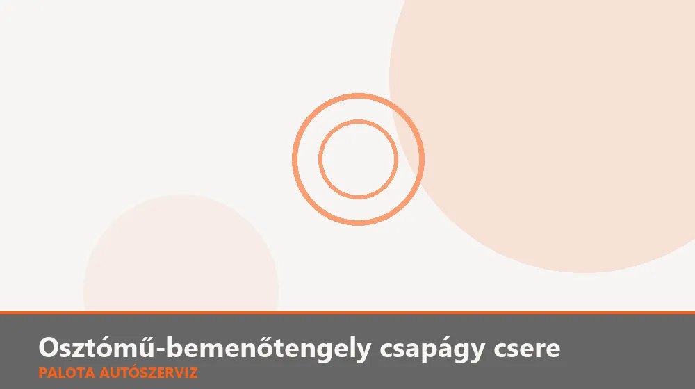 Osztómű-bemenőtengely csapágy csere - Palota Autószerviz Budapest