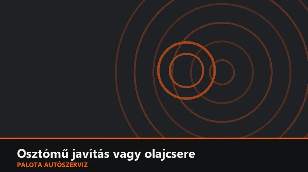 Osztómű javítás vagy olajcsere (4WD/AWD) - Palota Autószerviz Budapest