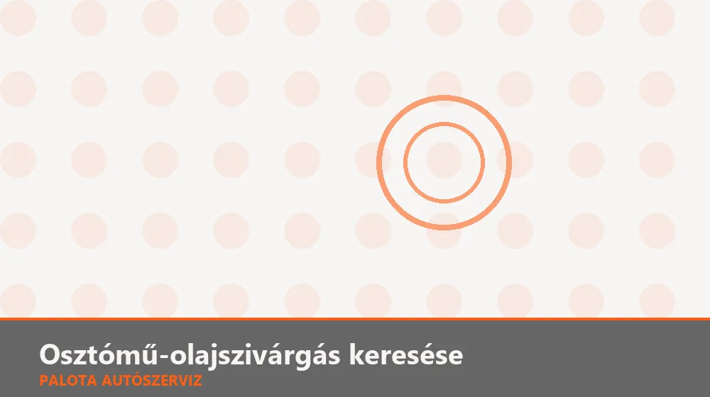 Osztómű-olajszivárgás keresése - Palota Autószerviz Budapest