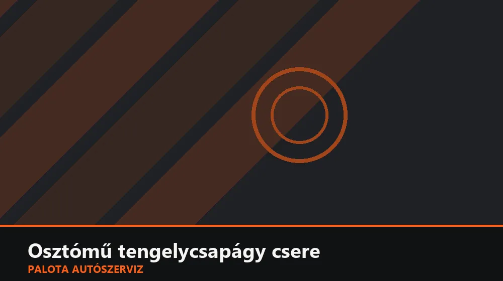 Osztómű tengelycsapágy csere - Palota Autószerviz Budapest