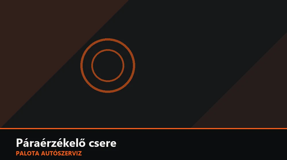 Páraérzékelő csere - Palota Autószerviz Budapest