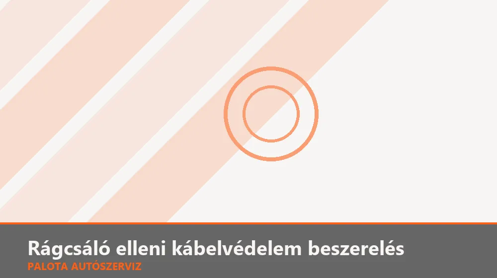 Rágcsáló elleni kábelvédelem beszerelés - Palota Autószerviz Budapest
