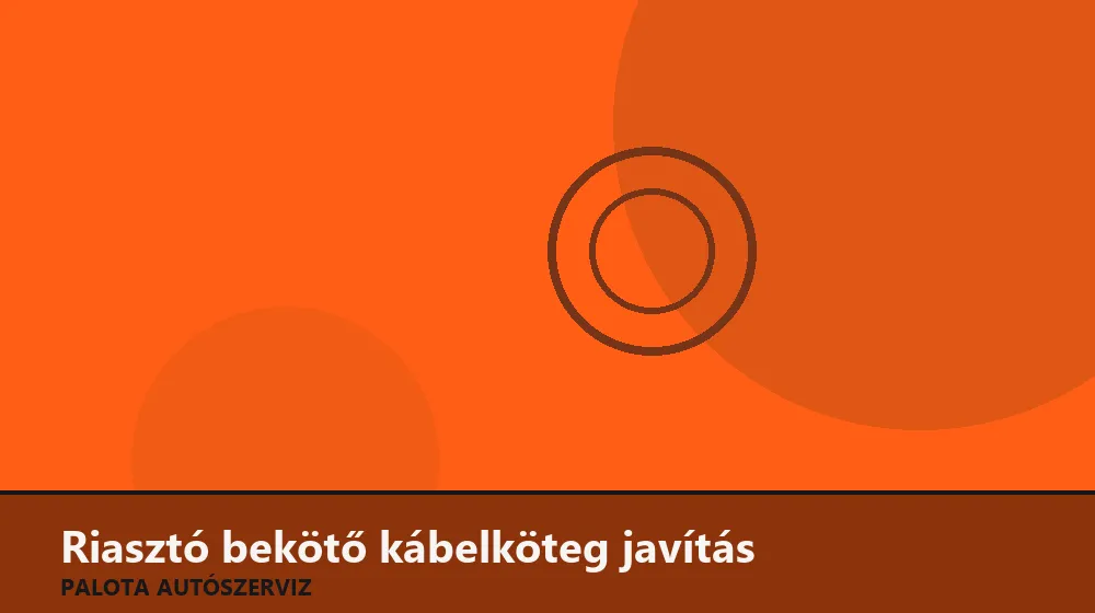 Riasztó bekötő kábelköteg javítás - Palota Autószerviz Budapest