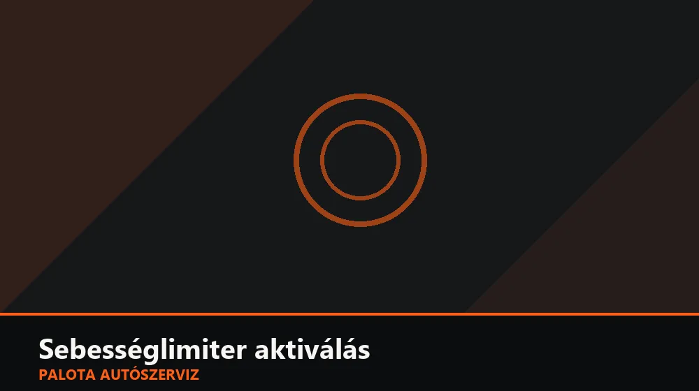 Sebességlimiter (korlátozó) aktiválás - Palota Autószerviz Budapest