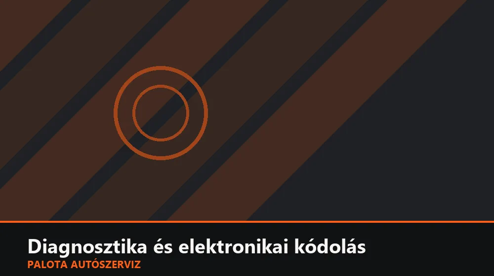Diagnosztika és elektronikai kódolás szakszerű elvégzése, XII. kerület