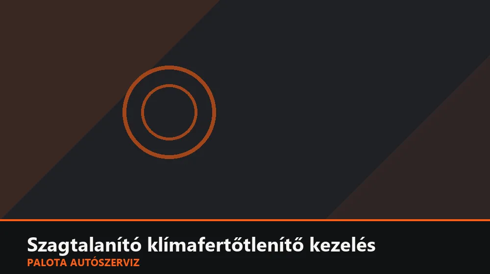 Szagtalanító klímafertőtlenítő kezelés - Palota Autószerviz Budapest