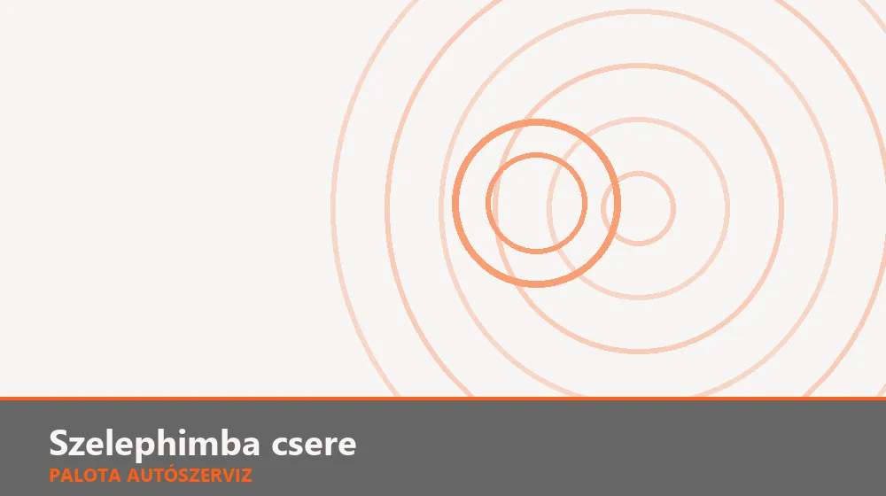 Szelephimba csere - Palota Autószerviz Budapest