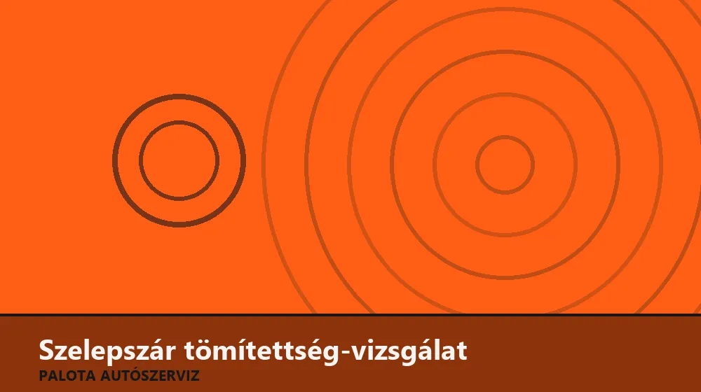 Szelepszár tömítettség-vizsgálat - Palota Autószerviz Budapest