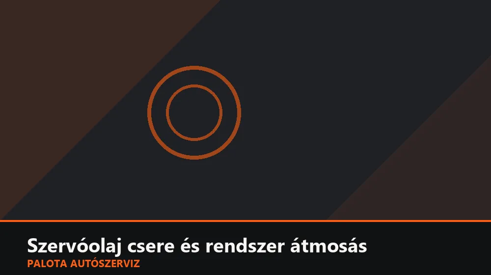 Szervóolaj csere és rendszer átmosás - Palota Autószerviz Budapest