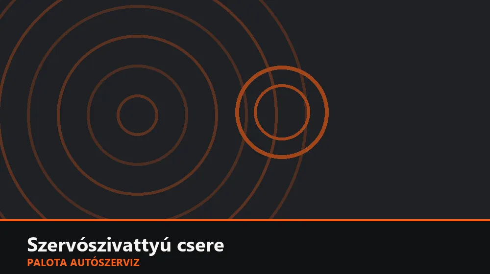 Szervószivattyú csere - Palota Autószerviz Budapest
