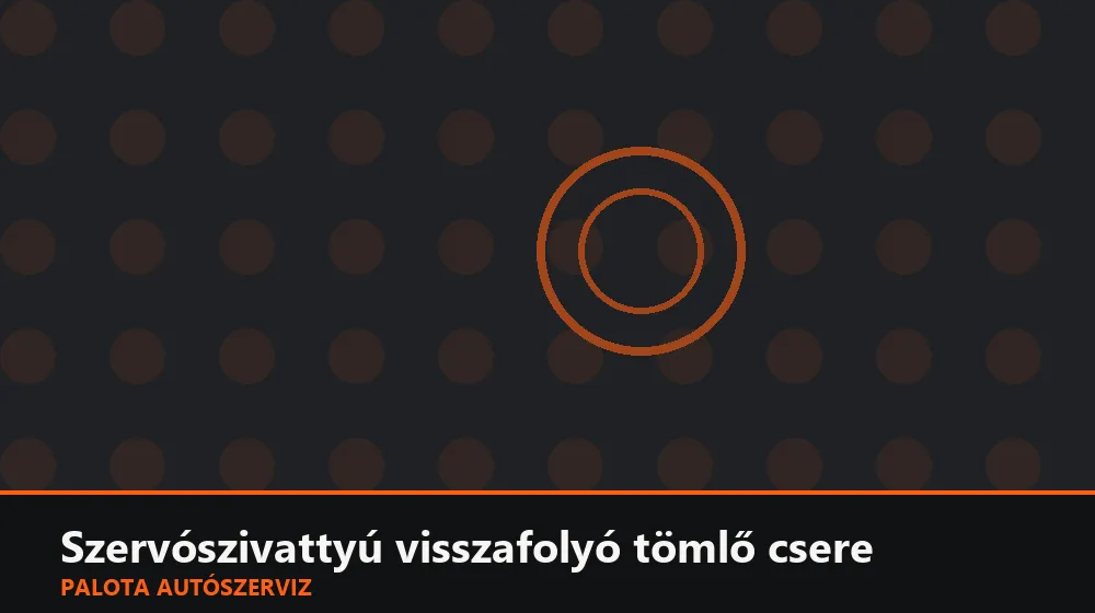 Szervószivattyú visszafolyó tömlő csere - Palota Autószerviz Budapest