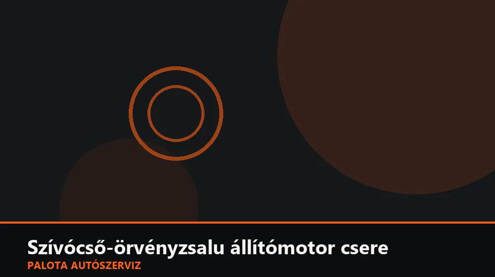 Szívócső-örvényzsalu állítómotor csere - Palota Autószerviz Budapest