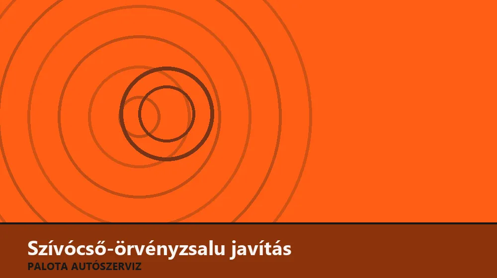 Szívócső-örvényzsalu javítás - Palota Autószerviz Budapest