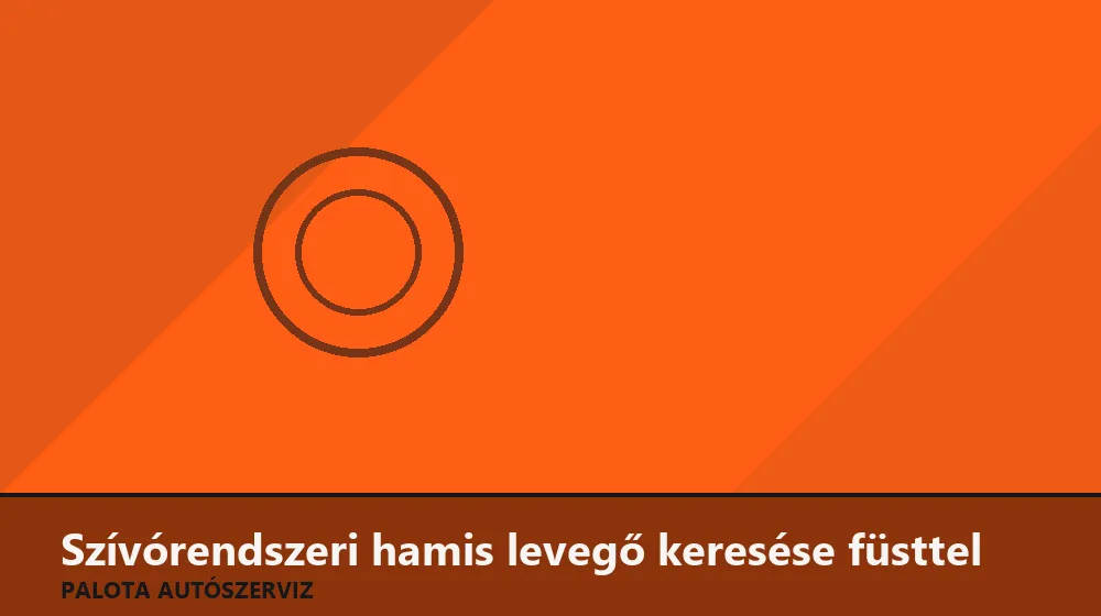 Szívórendszeri hamis levegő keresése füsttel - Palota Autószerviz Budapest