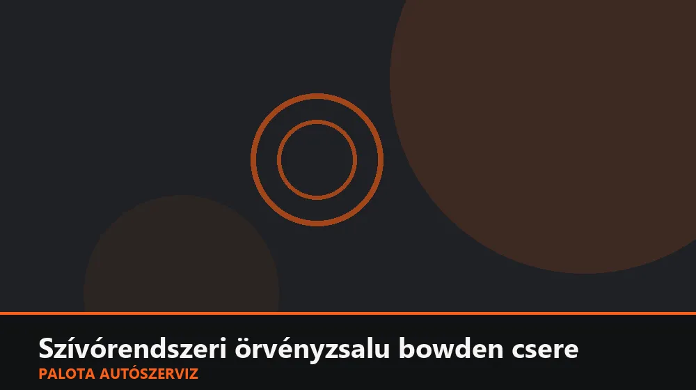 Szívórendszeri örvényzsalu bowden csere - Palota Autószerviz Budapest