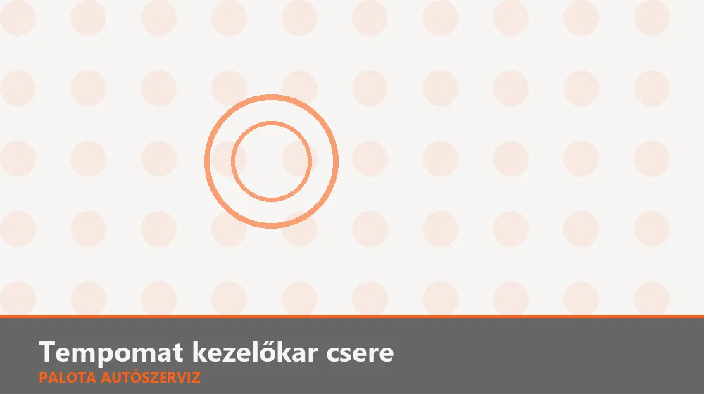Tempomat kezelőkar csere - Palota Autószerviz Budapest