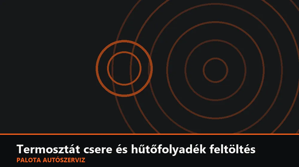 Termosztát csere és hűtőfolyadék feltöltés - Palota Autószerviz Budapest