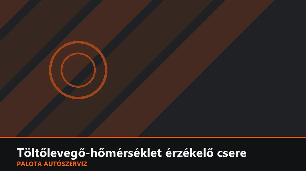 Töltőlevegő-hőmérséklet érzékelő csere - Palota Autószerviz Budapest