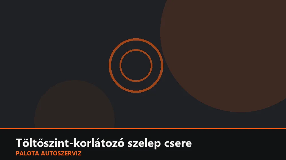 Töltőszint-korlátozó (ELCV) szelep csere - Palota Autószerviz Budapest