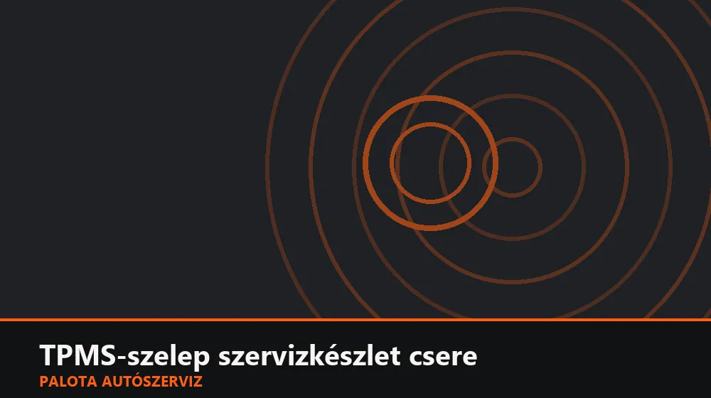 TPMS-szelep szervizkészlet csere - Palota Autószerviz Budapest