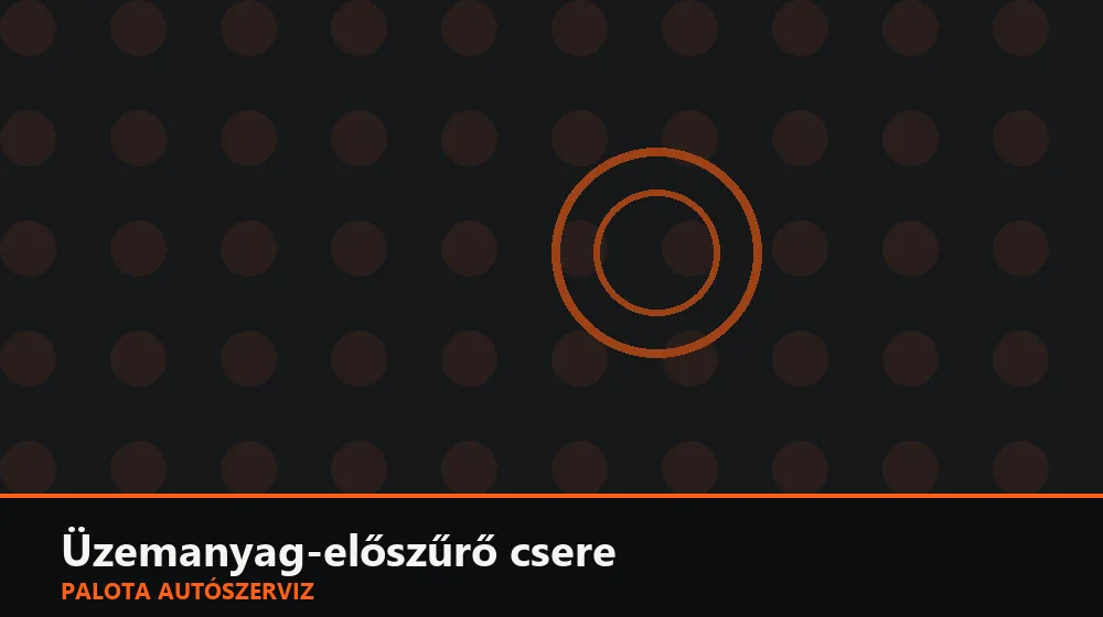 Üzemanyag-előszűrő (szitabetét) csere - Palota Autószerviz Budapest