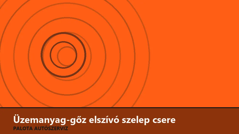 Üzemanyag-gőz elszívó (ORVR) szelep csere - Palota Autószerviz Budapest