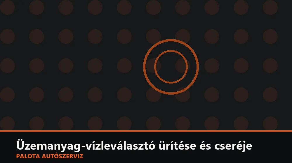 Üzemanyag-vízleválasztó ürítése és cseréje - Palota Autószerviz Budapest