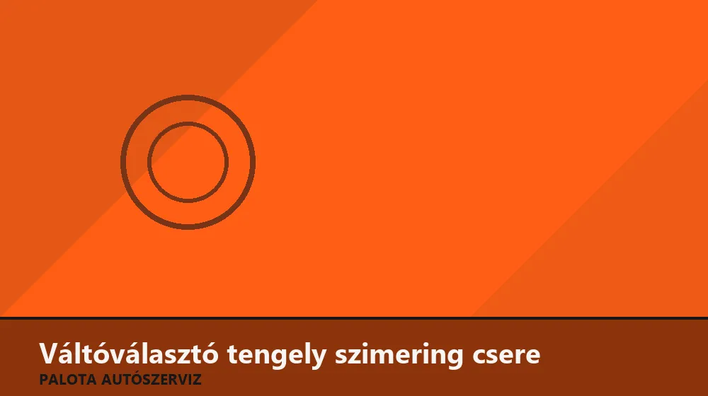Váltóválasztó tengely (tolórúd) szimering csere - Palota Autószerviz Budapest