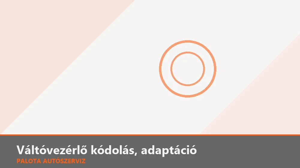 Váltóvezérlő kódolás, adaptáció - Palota Autószerviz Budapest