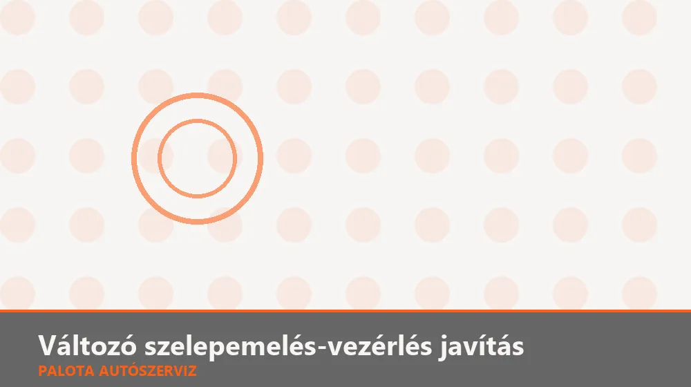 Változó szelepemelés-vezérlés javítás - Palota Autószerviz Budapest