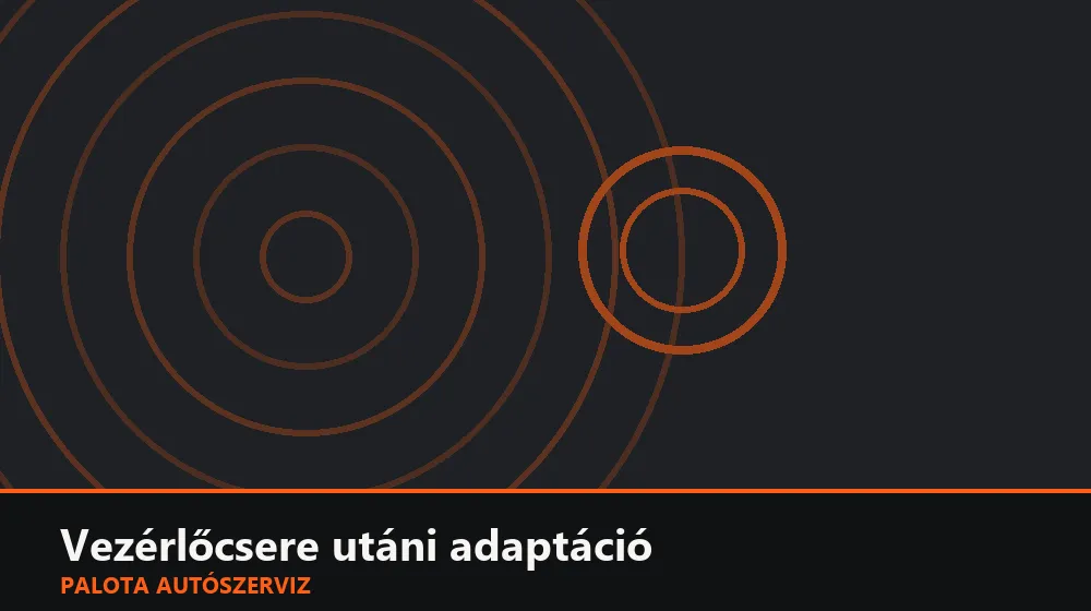 Vezérlőcsere utáni adaptáció - Palota Autószerviz Budapest