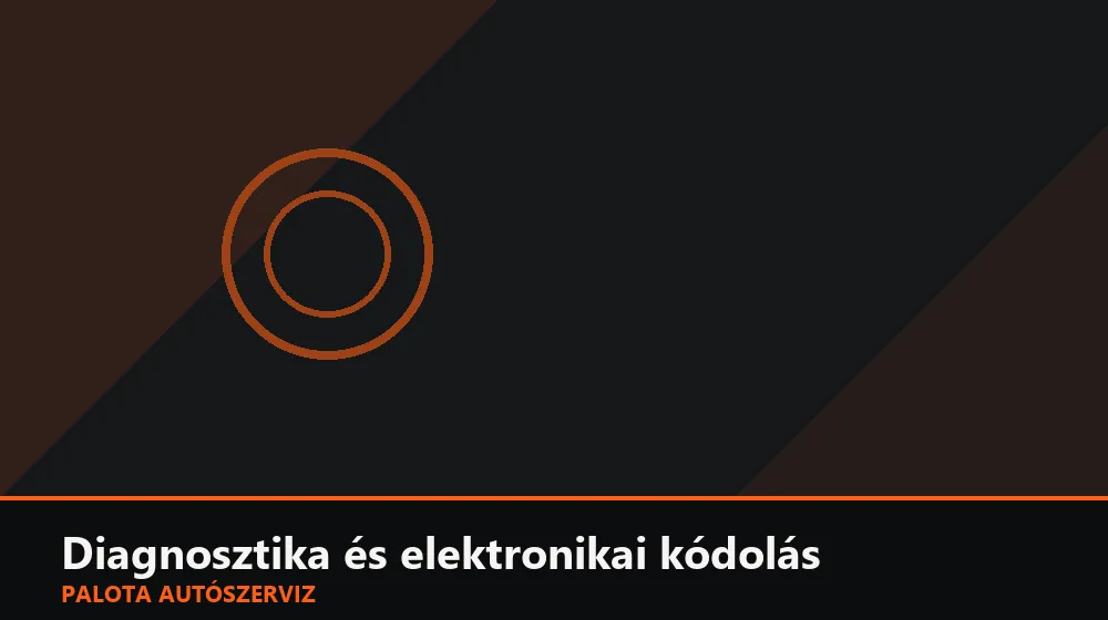 Diagnosztika és elektronikai kódolás szakszerű elvégzése, XII. kerület