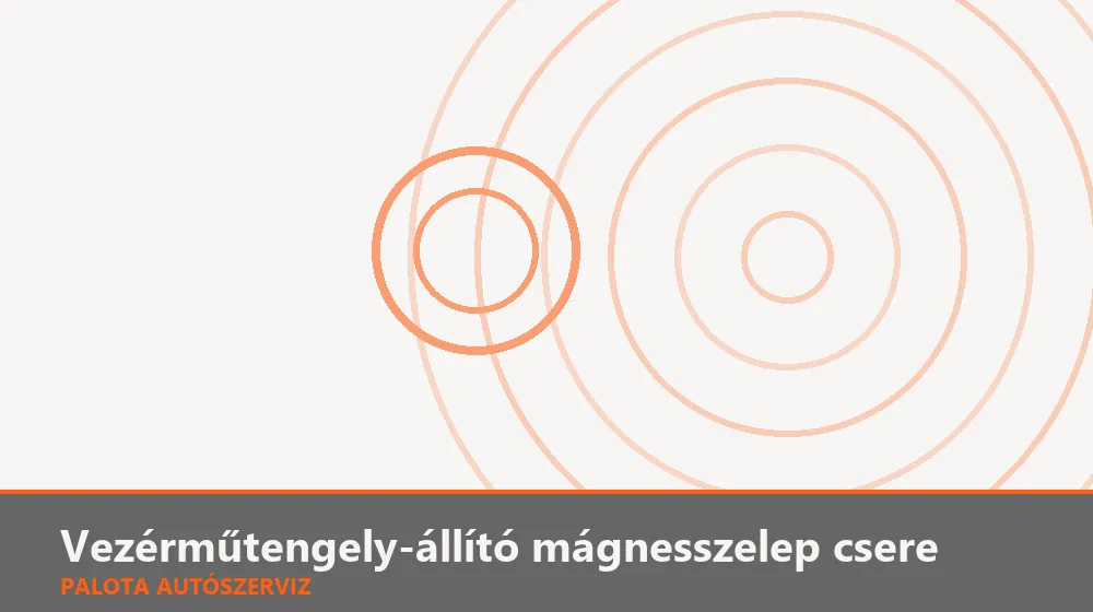 Vezérműtengely-állító mágnesszelep csere - Palota Autószerviz Budapest