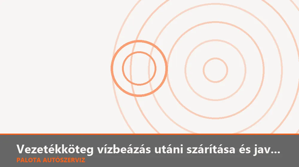 Vezetékköteg vízbeázás utáni szárítása és javítása - Palota Autószerviz Budapest