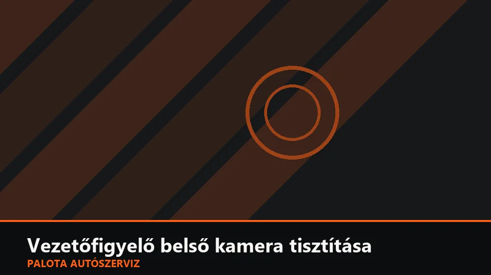 Vezetőfigyelő belső kamera tisztítása - Palota Autószerviz Budapest