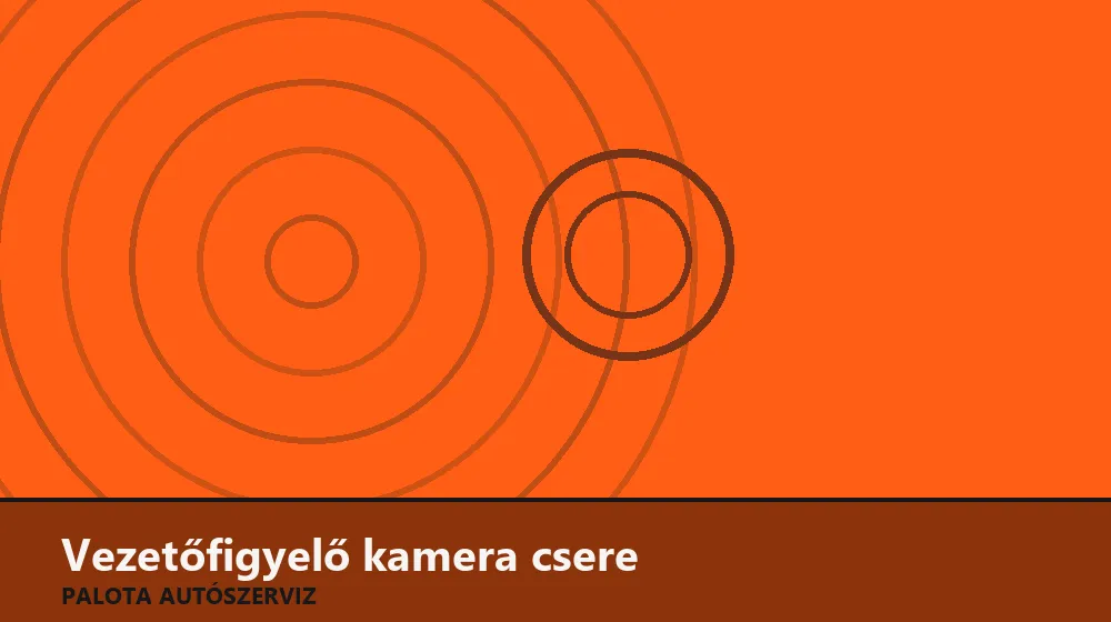 Vezetőfigyelő (fáradtság) kamera csere - Palota Autószerviz Budapest