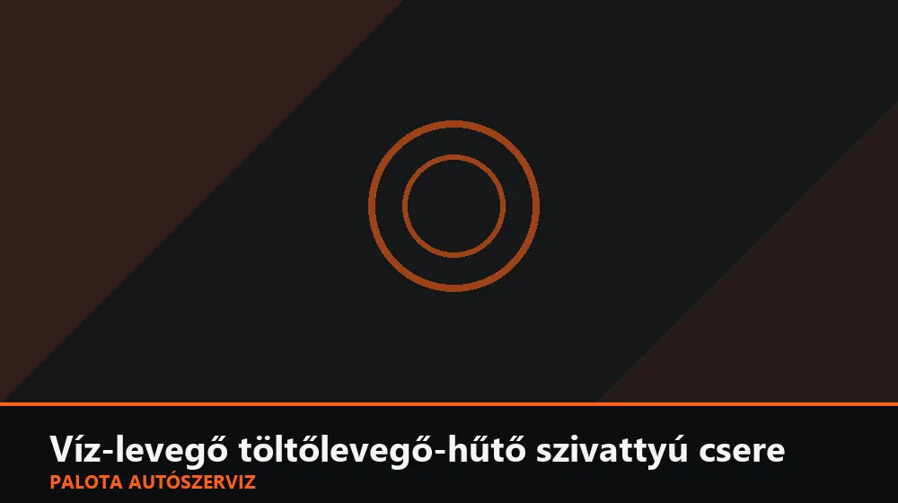 Víz-levegő töltőlevegő-hűtő szivattyú csere - Palota Autószerviz Budapest